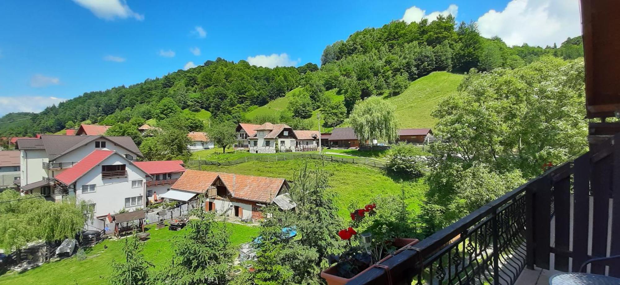 Pensiunea Montan Din Bran,Sat Simon Spa Indoor Bran  Luaran gambar
